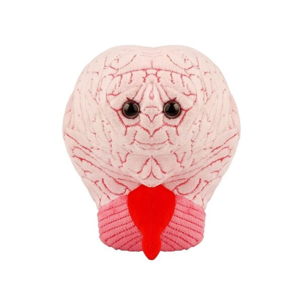 Brain Plush